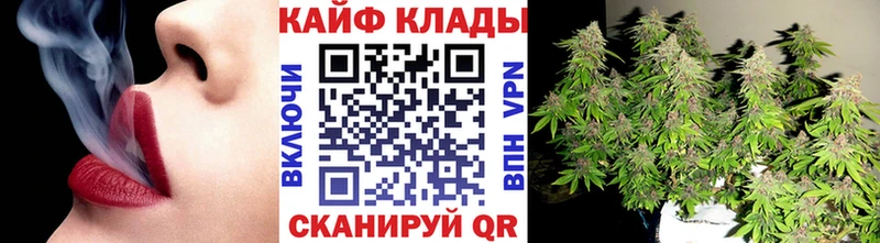 Купить наркотики цена Змеиногорск A PVP  Амфетамин  Кокаин  Мефедрон 