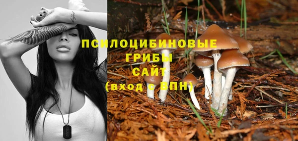 шишки Алзамай