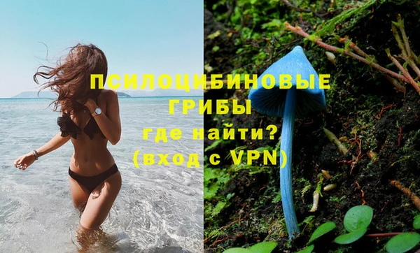 гидропоника Алексин