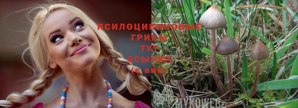 гидропоника Алексин