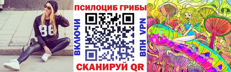 продажа наркотиков  Змеиногорск  Псилоцибиновые грибы ЛСД 